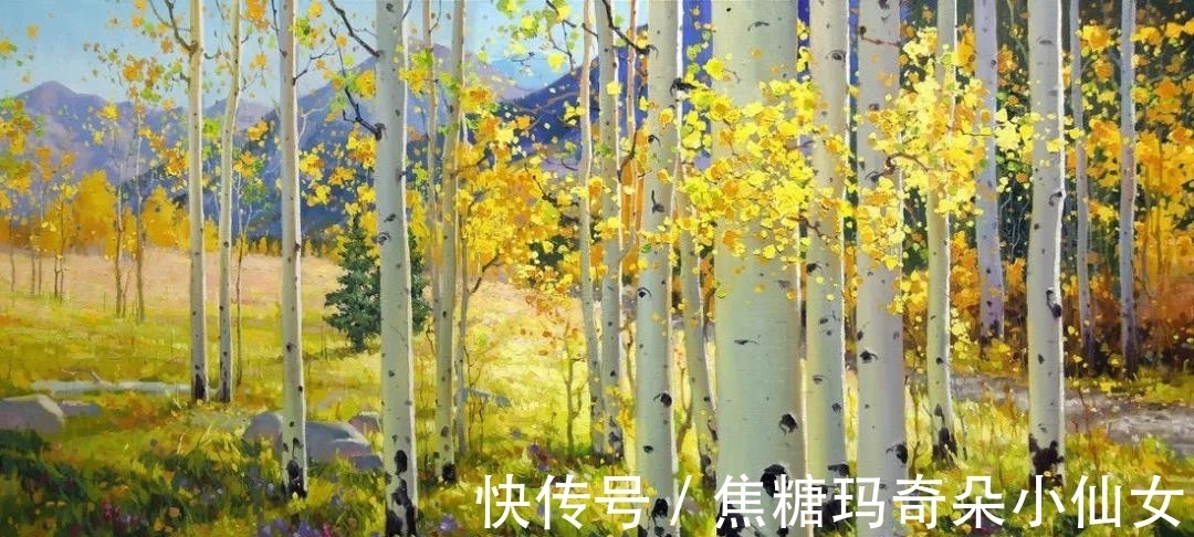 美国肖像协会!白桦林之美