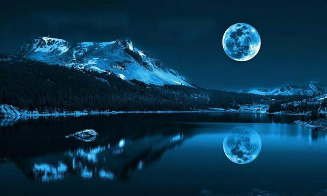 人陷害|《全宋诗》里很孤独的一首诗,每一句都很忧愁,但是没有一个愁字