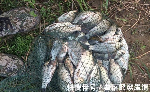 春季钓浅滩,秋季钓边边,秋季钓边从何时开始?钓什么样的边边?