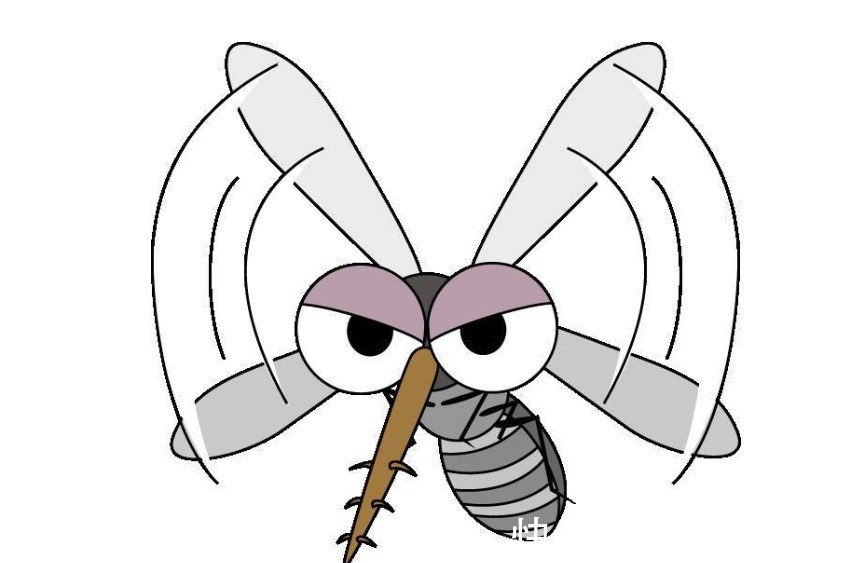 宝宝|宝宝被蚊子叮咬后,第一步不是帮娃止痒,很多家长都做错了