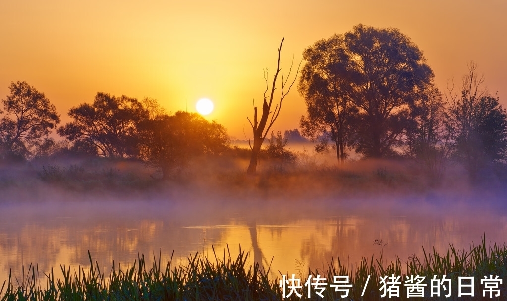 尾句|杜甫落魄时创作的一首七律,清代才子化用尾句,表达归隐之意