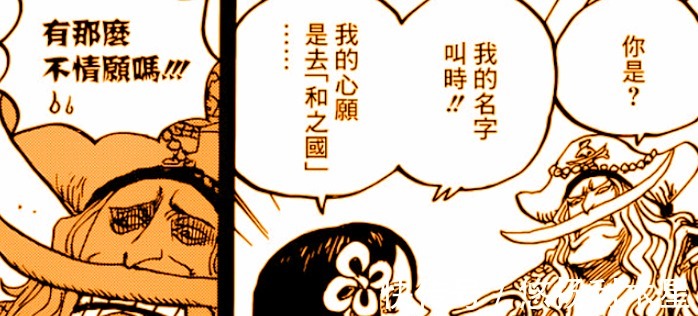 时夫人|海贼王解读1000话,时夫人的预言实现了,真正的九侠已全部就位