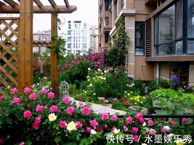 三楼|三楼奶奶不让我在一楼种花，事情解决了，出乎意料的让人难受