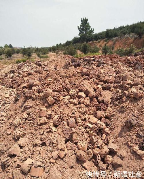 养花总是死?盆底埋点“小东西”,疏松透气不烂根,养啥旺啥