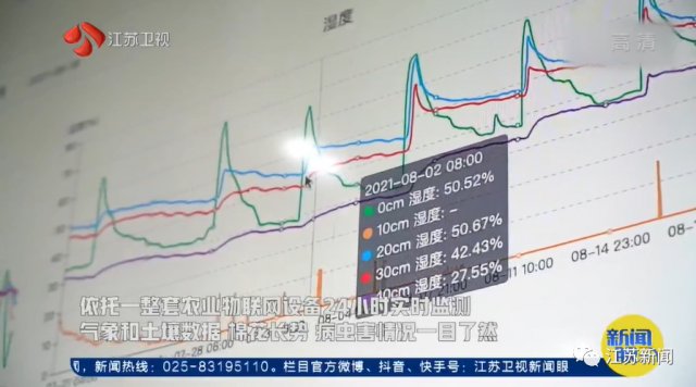 3000亩棉田，两个人自己种自己管！他们能做到吗？