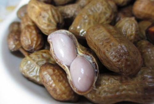 水煮花生的營養(yǎng)價值 新鮮花生的營養(yǎng)是食用價值