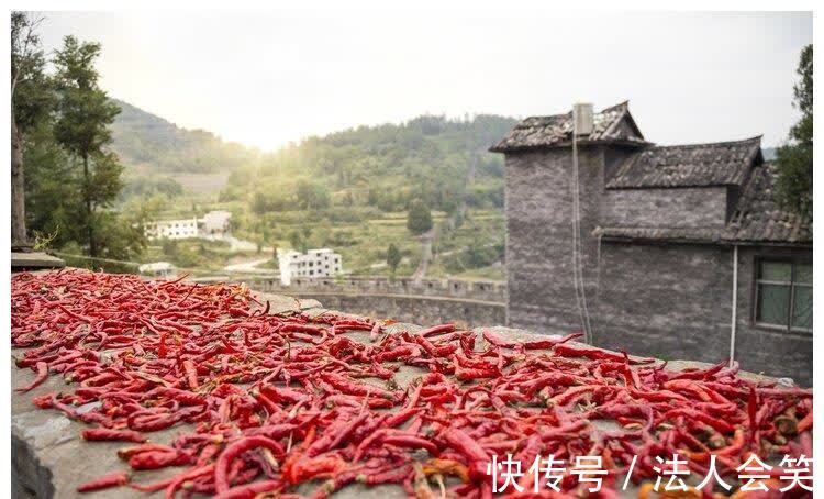 周永健|多吃辣椒可长寿？新研究：经常吃辣，心脏病、癌症死亡风险更低