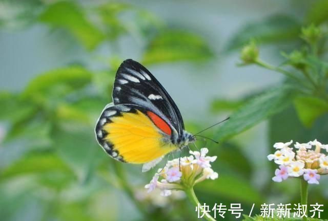 教书先生&不出名却文采飞扬的3副对联,水平很高,让人打心眼里佩服