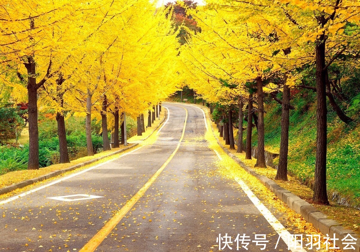 岁月$止于唇齿,匿于流年,谁的岁月,弹指刹那,谁的沧桑,掩去芳华