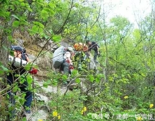 河南一条经典户外线路！潭水瀑布太多，原始无污染！驴友赞不绝口