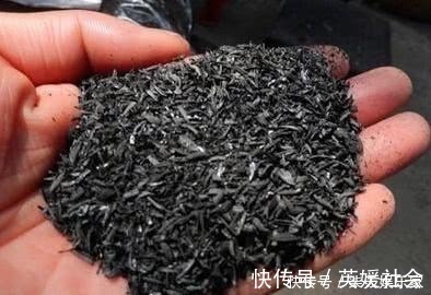 发芽|养兰花这点最关键,发芽多又壮,开花多又香,年年开花不断!