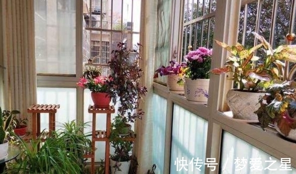 养花|养花期间,做了这些事情就会得不偿失,总遇上黄叶烂根问题