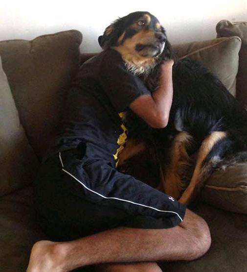 |搞笑图片幽默段子笑话哈哈,小猫咪今天是作为主人的晚餐么