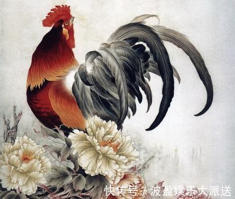 几个月份|谁说属鸡的人“命不好”以下几个月份出生的金鸡,一生福禄双全