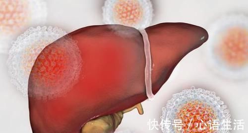 肝脏|发现自己肝不好怎么办？多吃3种食物，可把肝脏养好