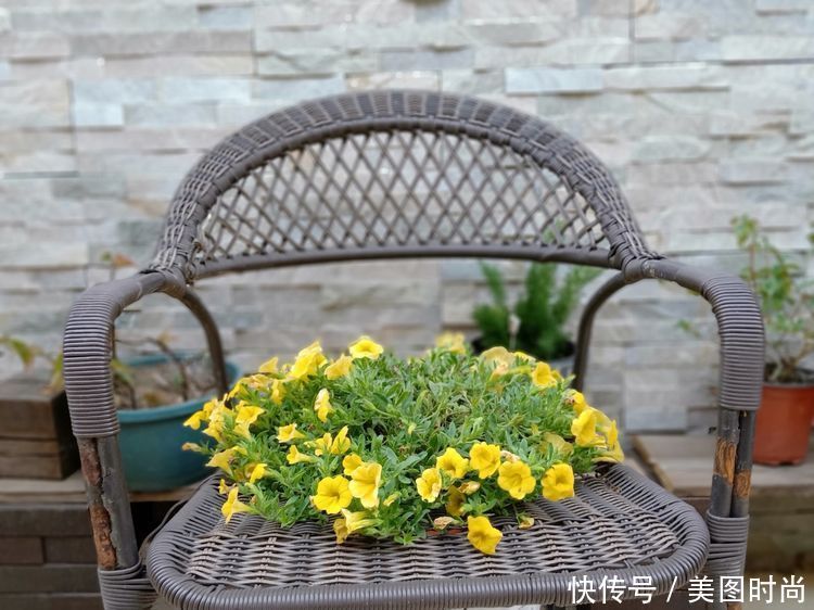 美好时光|花园改造:3年前买了栋带170㎡花园的房子,过上种花草的乡村生活