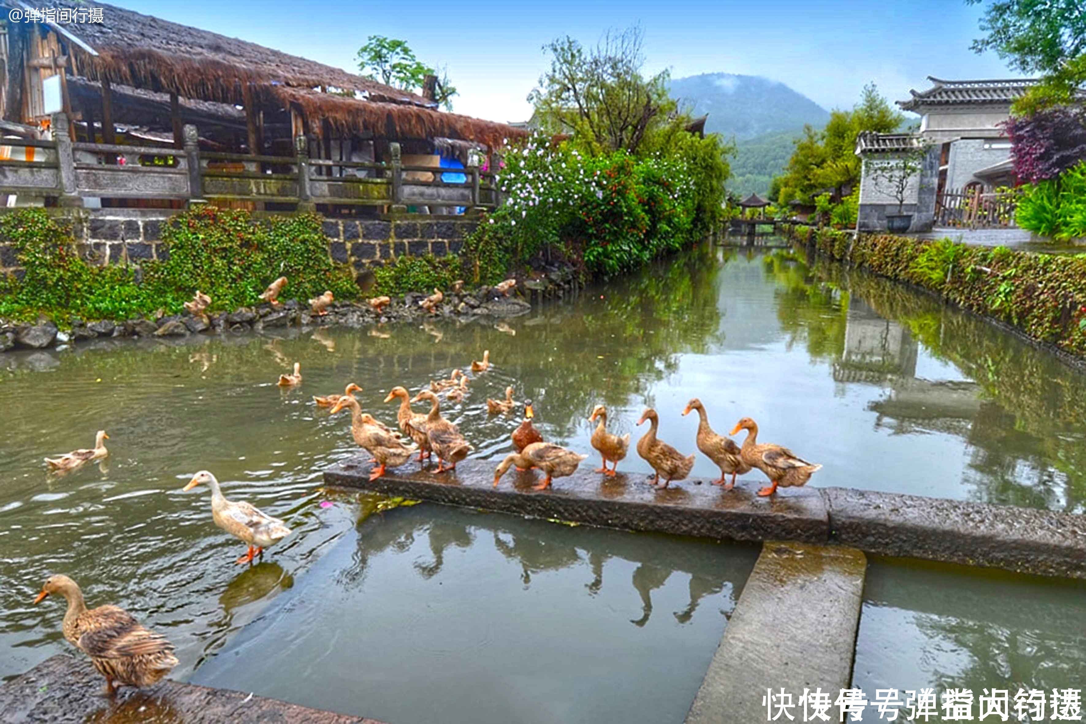 古镇|中国最美人居典范，这4座水乡古镇，小桥流水人家美如诗画