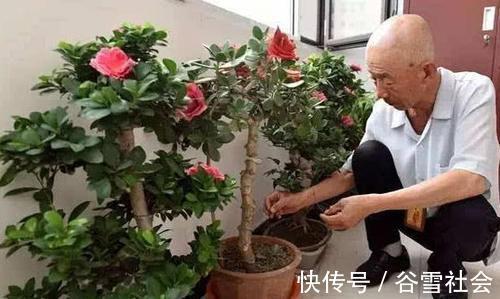 老中医|老中医公布护发秘方,100天9种食材,脱发白发头油头皮屑统统搞定