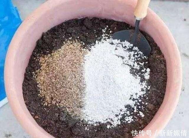 花都|这4种土不能养花,很容易招虫烂根,养啥花都活不久