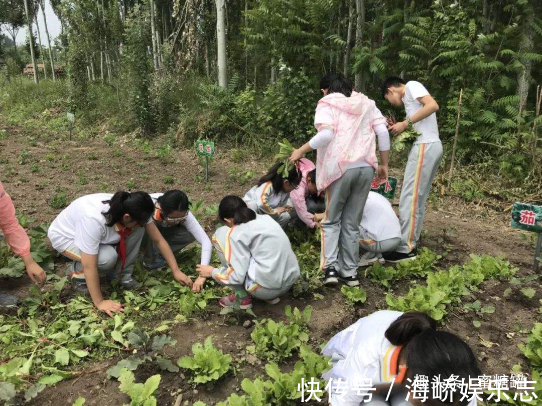 孩子|安排孩子做家务,给孩子自信和责任感