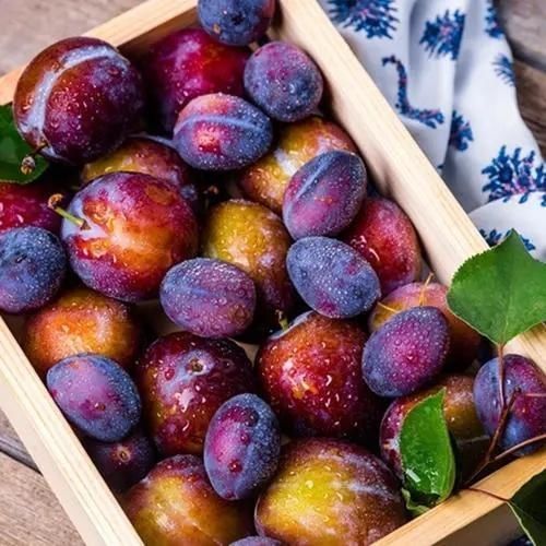 水果|有助于孩子“长高”的4种水果,提醒:家长朋友可让孩子多吃