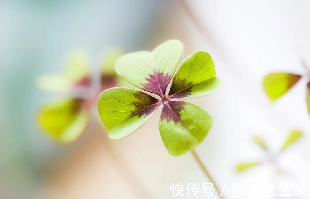 弦音!今生,为你写满相思