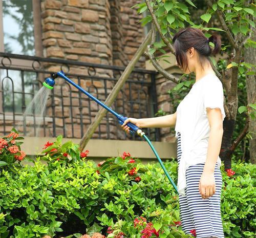 抓把“臭球”埋到花盆里,盆土不板结,疏松又营养,大白根长不停