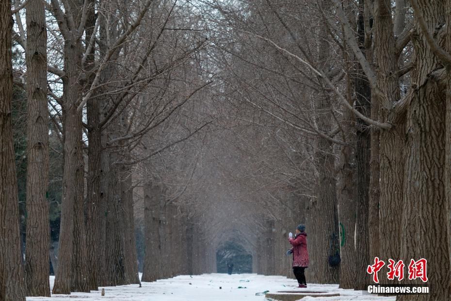 降雪|雪中的北京天安门广场