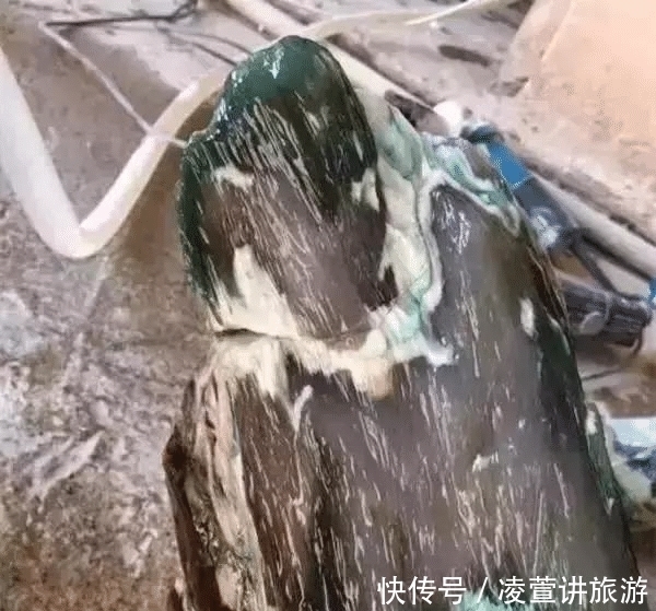 树化玉|亿万年前的宝贝,形似冰种翡翠,估值数百亿