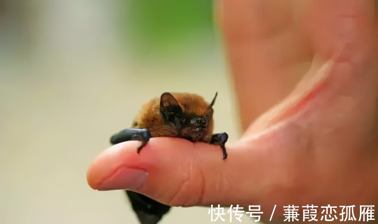 趣味冷知识分享，快来一起看看吧！