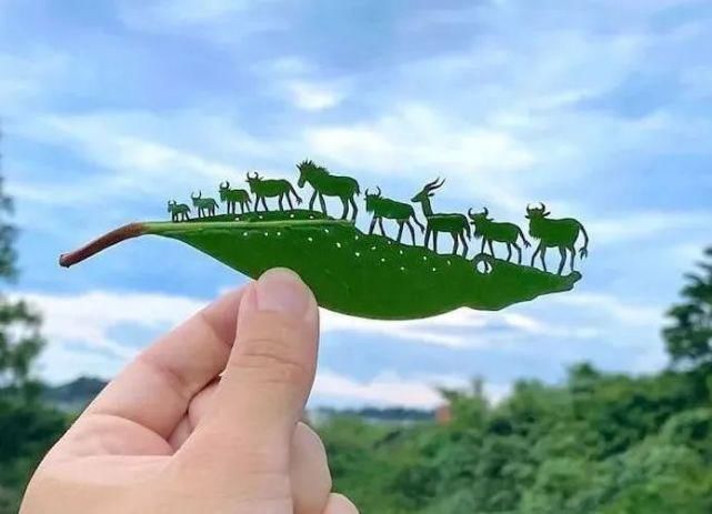 ?艺术家真会赚钱，把捡来的树叶简单雕刻后，价值翻了几百倍