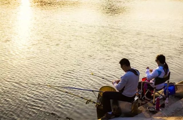 不管钓鲫鱼、鲤鱼还是草鱼,只要使用这款饵料就够了,四季通用!