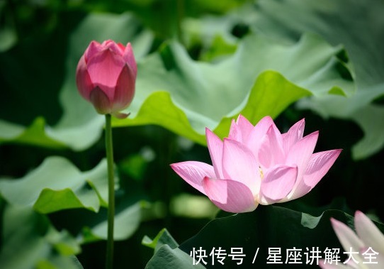 煞星|进入10月，4属相吉星当头，运势节节高，生活美满幸福