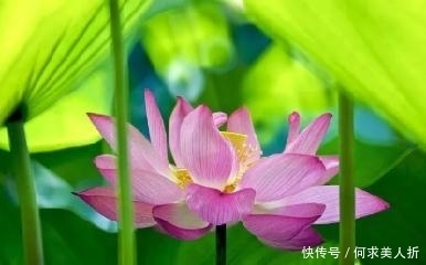 高瞻|两首传世久远的七绝,高瞻与韦庄的对比,却都很精彩!