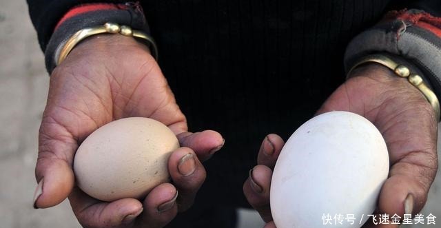  鸭蛋和鸭蛋通常被许多人吃，为什么很少吃鹅蛋答案很简单