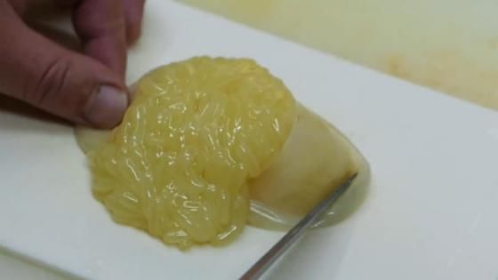 下嘴|日本人钟爱的海鲜居然是这个东西？游客：怎么办我完全不敢下嘴