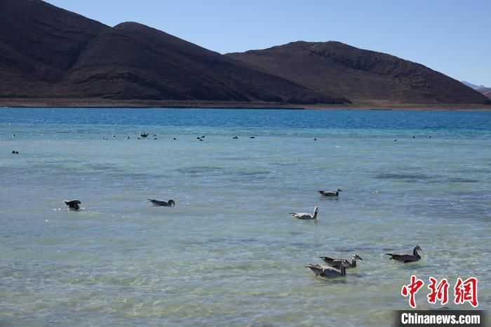 羊卓雍措|冬日羊卓雍措：湖水湛蓝，如诗如画