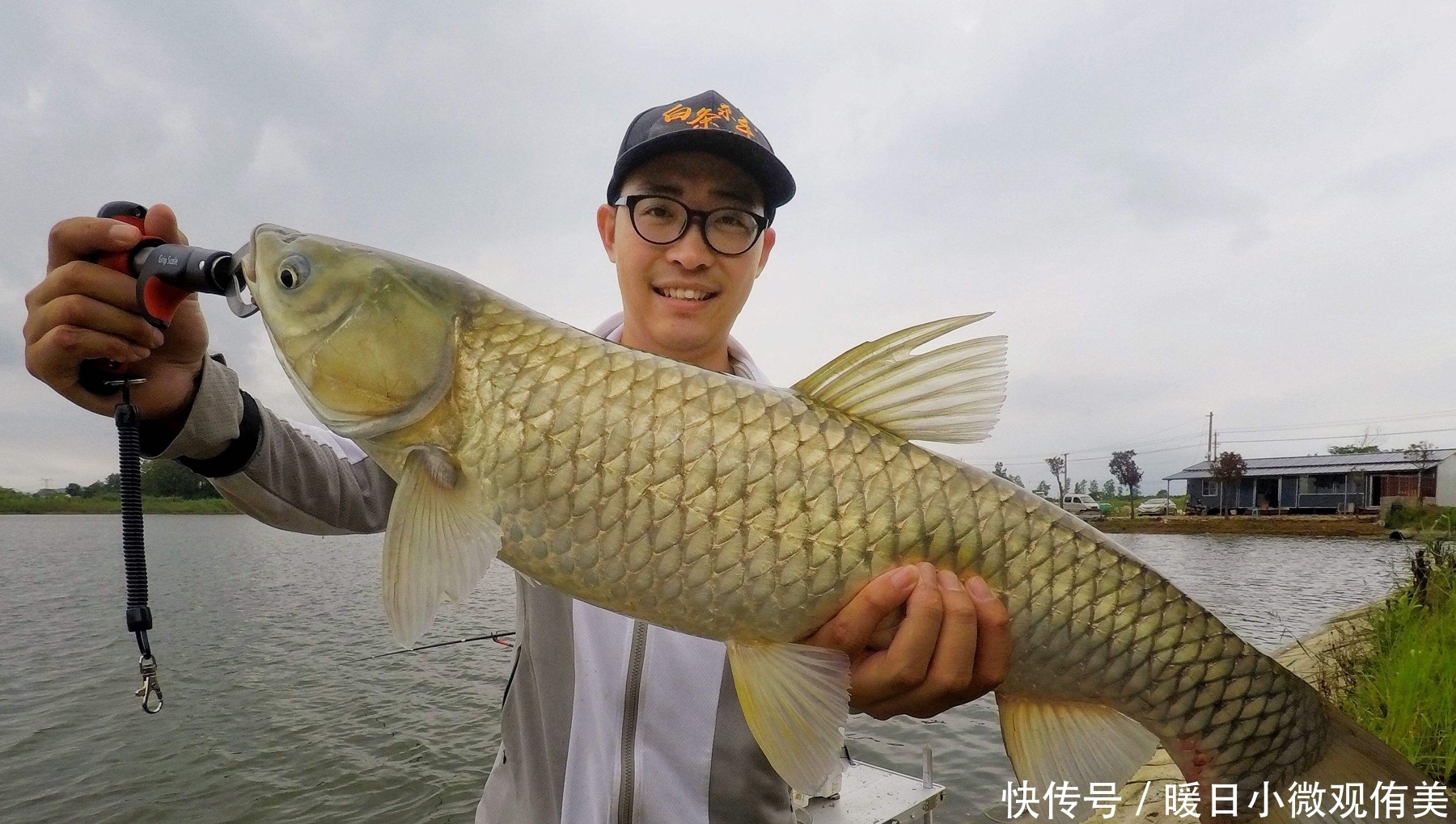 饵料|用什么饵料钓草鱼最有效？草鱼喜欢什么味道？钓草鱼的用饵技巧