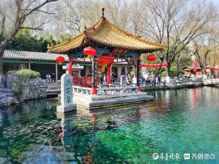 济南趵突泉的春天，泉水千回百转春已来！|就地过年?春在身边| 济南趵突泉的春天，泉水千回百转春已来！\＂,\＂i16\＂:\＂就地过年?春在身边