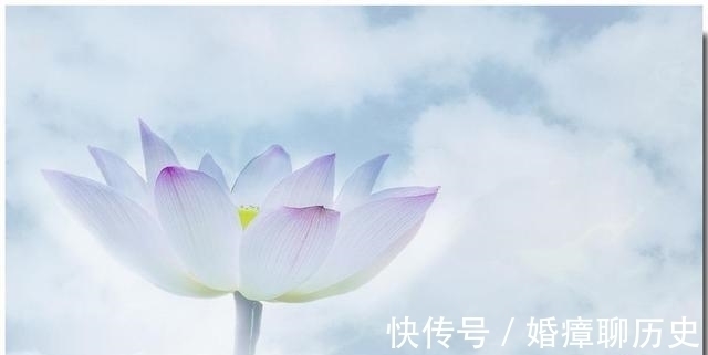 江湖#庄子：“相濡以沫，不如相忘于江湖”，下半句才道出真知