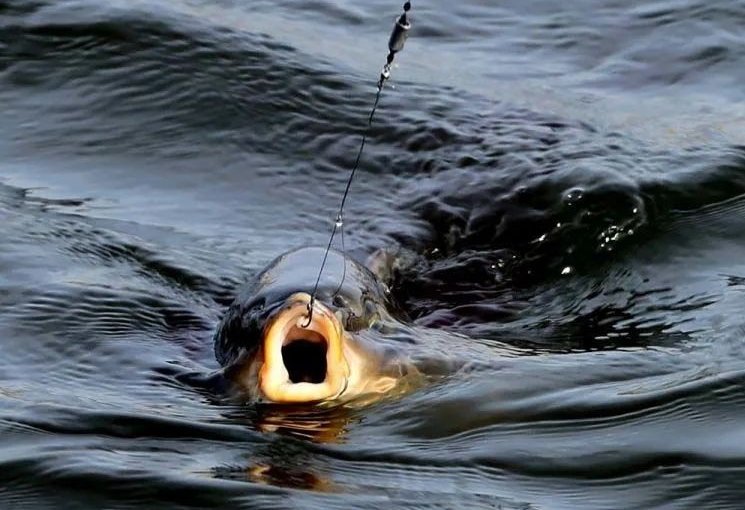 钓鱼之前的准备工作，有很多是你想不到的，快来看看