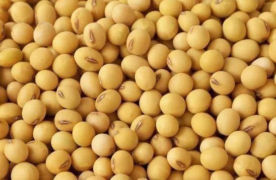 零食|女人别太节俭!常吃4种“零食”,补充雌激素,胜过去“美容院”