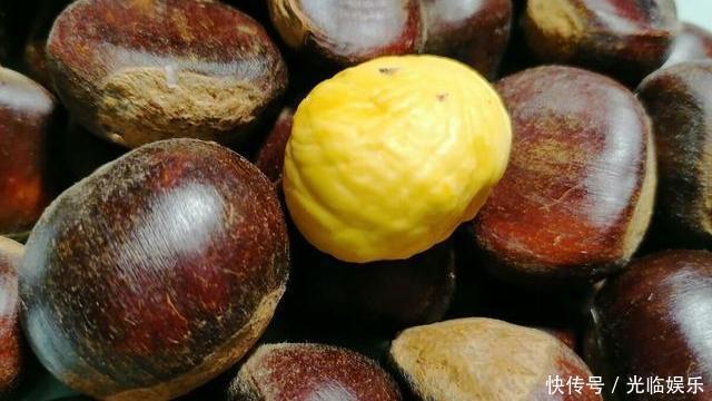 煮板栗时,什么水下锅很重要,很多人不懂,难怪板栗不容易去皮
