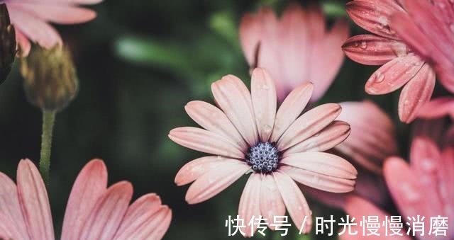 狮子座|够狠心，一分手就彻底和对方一刀两断的三大星座