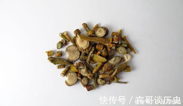 桑寄生|此植物获得桑树之精气而生，善滋肝肾、强筋骨、祛风湿，滋养血脉