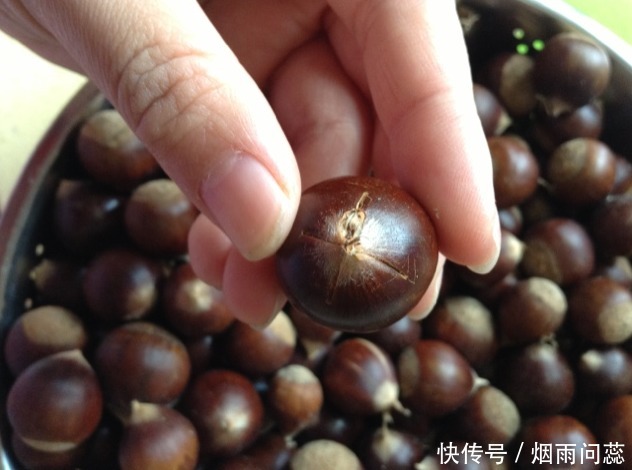 煮板栗，多数人第一步就做错！多做这1步，板栗软糯香甜，好剥壳