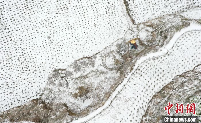 春雪|贵州春雪落梯田