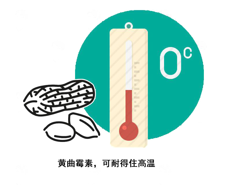 肺部|女子收玉米导致肺部长满真菌:好端端的,怎么就引起真菌感染?