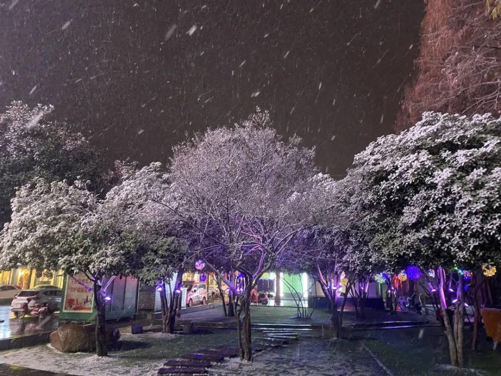 下雪|2020年第一场雪，美了新县城，刷爆了朋友圈！