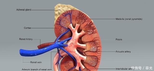 男人衰老的4个标志，你都没有，或许说明你还年